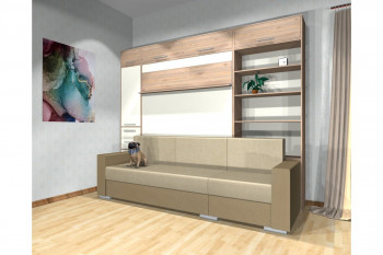 Шкаф-кровать с диваном Каролина в Новом Тартасе - novyj-tartas.mebel54.com | фото